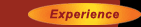 Experience